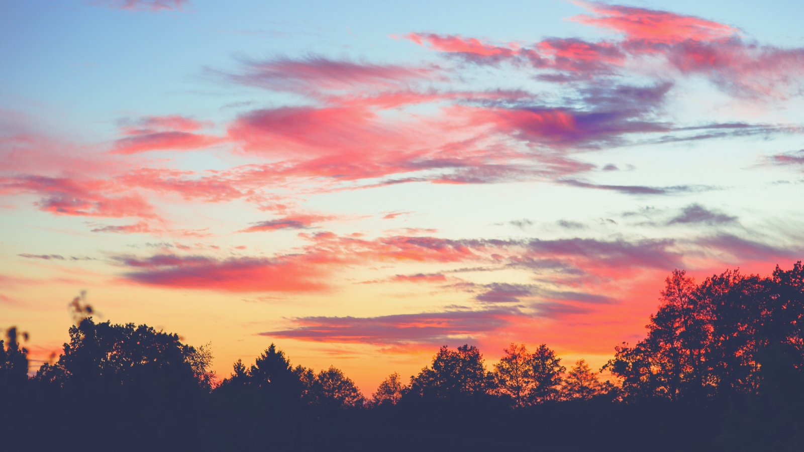 Anchor by Spotify Sunset: Migration Options in 2026