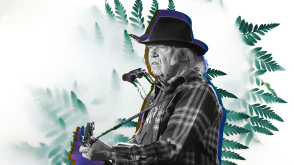 Neil Young Isn’t Too Happy With The President